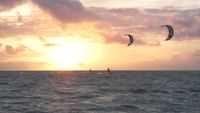 nordseewindsport kite 12